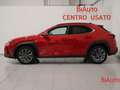 Lexus UX 250h UX Hybrid Design Rot - thumbnail 22