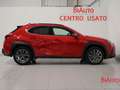 Lexus UX 250h UX Hybrid Design Rot - thumbnail 21