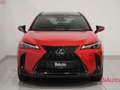 Lexus UX 250h UX Hybrid Design Rosso - thumbnail 4