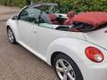 Volkswagen New Beetle Cabrio 1.9 tdi limited Red Edition Wit - thumbnail 10