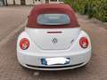 Volkswagen New Beetle Cabrio 1.9 tdi limited Red Edition Wit - thumbnail 2