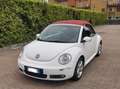 Volkswagen New Beetle Cabrio 1.9 tdi limited Red Edition Wit - thumbnail 1