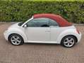 Volkswagen New Beetle Cabrio 1.9 tdi limited Red Edition Bianco - thumbnail 8