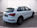 Audi Q5 Allrad 2.0 TDI AHK+Navi+SHZ+Leder Weiß - thumbnail 15
