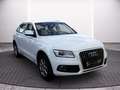 Audi Q5 Allrad 2.0 TDI AHK+Navi+SHZ+Leder Weiß - thumbnail 19