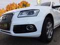 Audi Q5 Allrad 2.0 TDI AHK+Navi+SHZ+Leder Weiß - thumbnail 4