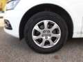 Audi Q5 Allrad 2.0 TDI AHK+Navi+SHZ+Leder Weiß - thumbnail 5