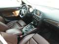 Audi Q5 Allrad 2.0 TDI AHK+Navi+SHZ+Leder Weiß - thumbnail 16
