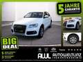Audi Q5 Allrad 2.0 TDI Weiß - thumbnail 1