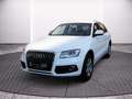 Audi Q5 Allrad 2.0 TDI Weiß - thumbnail 2
