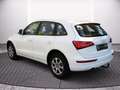 Audi Q5 Allrad 2.0 TDI AHK+Navi+SHZ+Leder Weiß - thumbnail 12