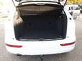 Audi Q5 Allrad 2.0 TDI AHK+Navi+SHZ+Leder Weiß - thumbnail 13