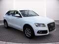 Audi Q5 Allrad 2.0 TDI AHK+Navi+SHZ+Leder Weiß - thumbnail 18