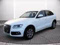 Audi Q5 Allrad 2.0 TDI Weiß - thumbnail 3