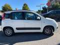 Fiat Panda Panda III 1.3 mjt 16v Lounge 75cv E5+ Blanc - thumbnail 4