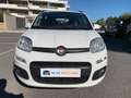 Fiat Panda Panda III 1.3 mjt 16v Lounge 75cv E5+ Blanc - thumbnail 2