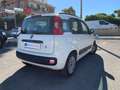 Fiat Panda Panda III 1.3 mjt 16v Lounge 75cv E5+ Blanc - thumbnail 5
