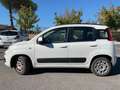 Fiat Panda Panda III 1.3 mjt 16v Lounge 75cv E5+ Blanc - thumbnail 8
