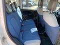 Fiat Panda Panda III 1.3 mjt 16v Lounge 75cv E5+ Blanc - thumbnail 15