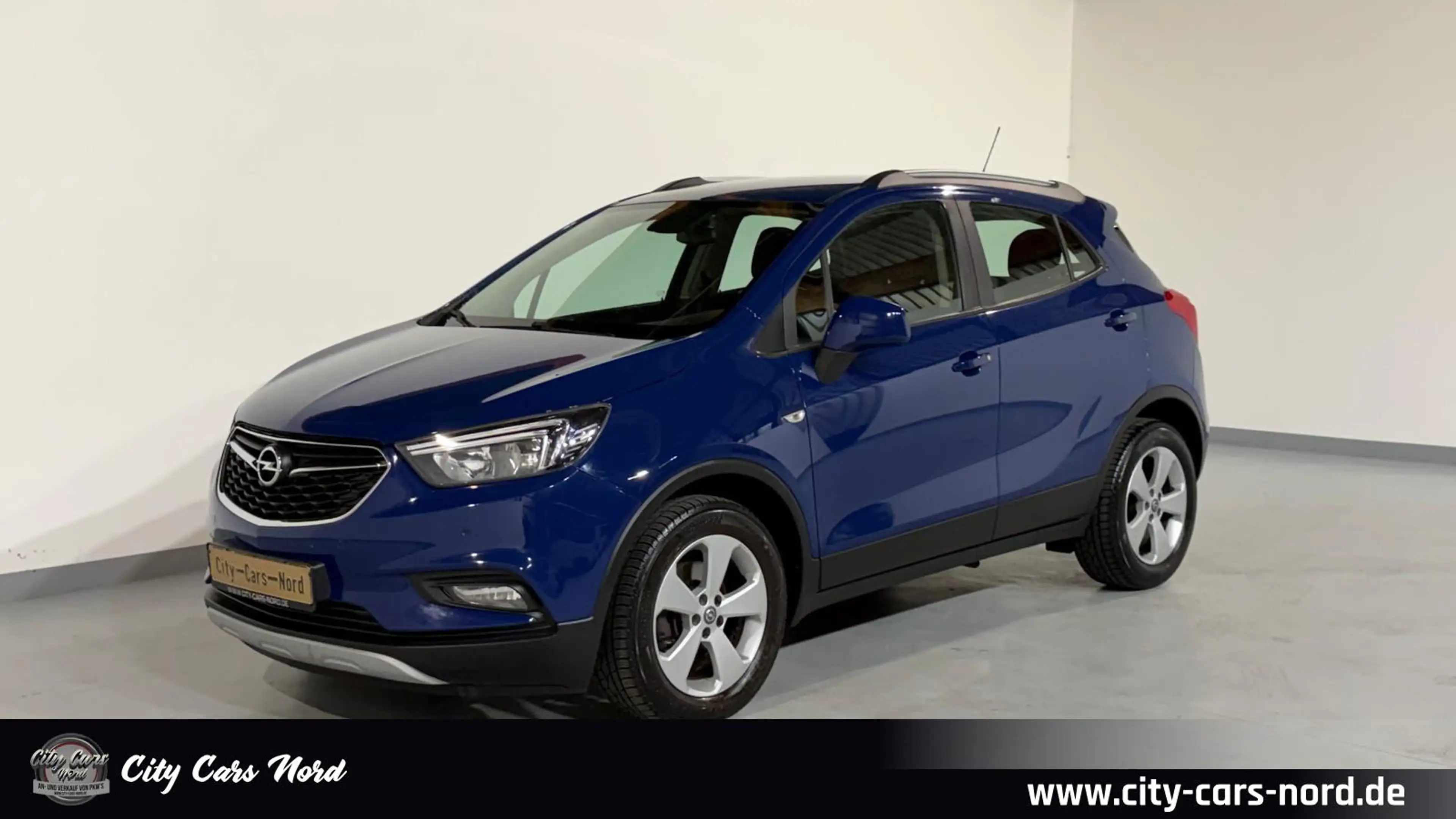 Opel Mokka X Edition Start/Stop AHK+PDC+TEMPO+LED