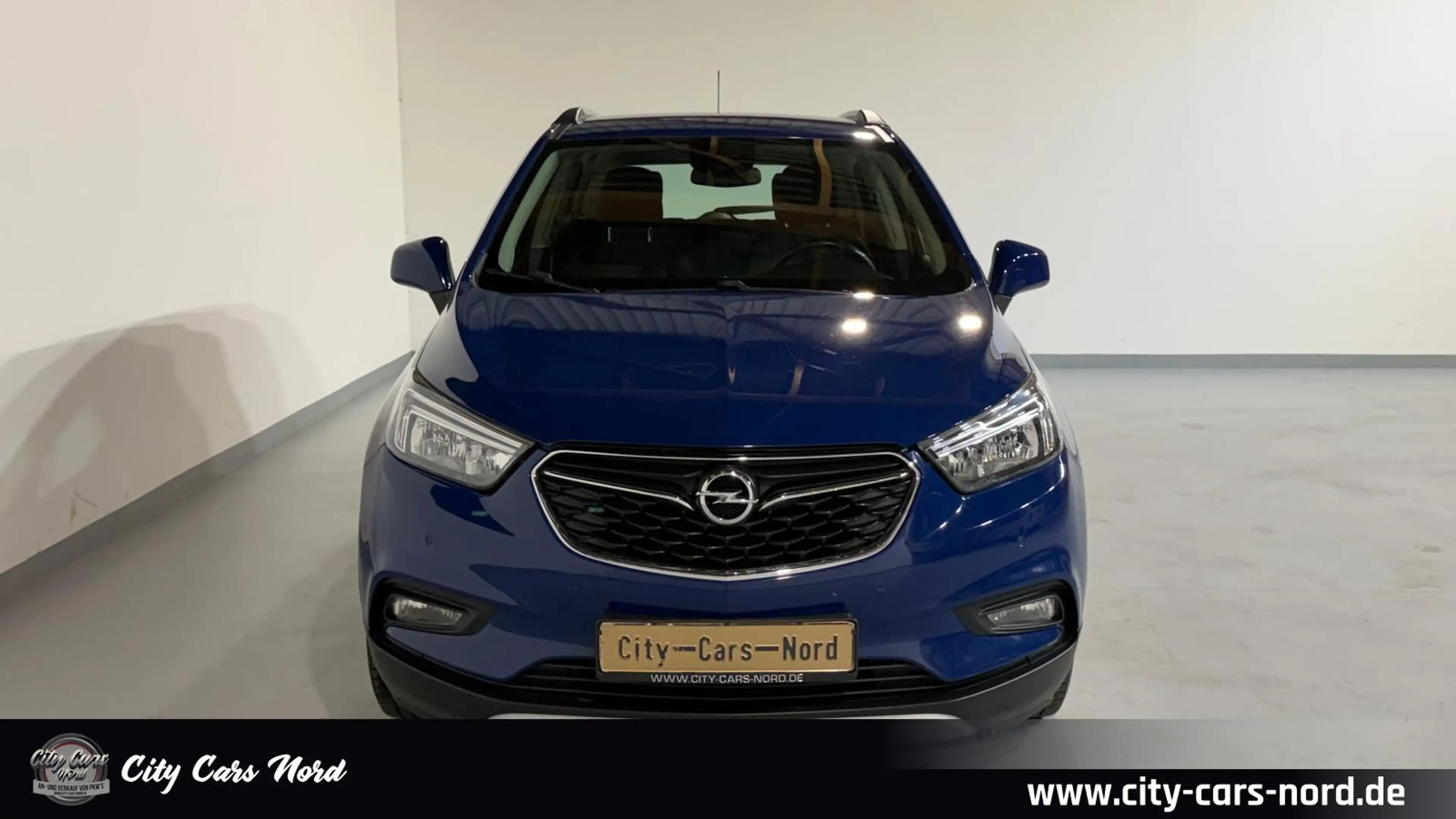Opel Mokka X Edition Start/Stop AHK+PDC+TEMPO+LED — photo 9
