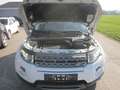 Land Rover Range Rover Evoque Pure 2,2 TD4 Leder Blanc - thumbnail 5