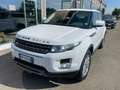 Land Rover Range Rover Evoque 2.2 TD4 5p. Prestige Bianco - thumbnail 3