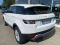 Land Rover Range Rover Evoque 2.2 TD4 5p. Prestige Bianco - thumbnail 8