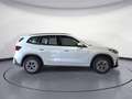 BMW iX1 xDrive30 AHK Adaptives Fahrwerk ACC Blanc - thumbnail 7