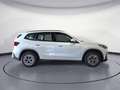 BMW iX1 xDrive30 AHK Adaptives Fahrwerk ACC Weiß - thumbnail 7