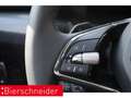 Skoda Superb 2.0 TDI DSG Style NAVI RFK MATRIX LED ACC Grau - thumbnail 17