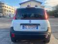 Fiat Panda VAN 1.0 Hybrid AUTOCARRO 2posti POP - Prezzo Reale Bianco - thumbnail 5