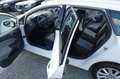 SEAT Ibiza 1.6 TDI KLIMAAUT SITZH Insp+Zahnr+TÜV Neu Weiß - thumbnail 9