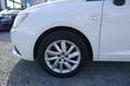 SEAT Ibiza 1.6 TDI KLIMAAUT SITZH Insp+Zahnr+TÜV Neu Weiß - thumbnail 20