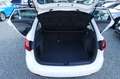 SEAT Ibiza 1.6 TDI KLIMAAUT SITZH Insp+Zahnr+TÜV Neu Weiß - thumbnail 8