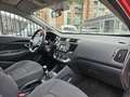 Kia Rio 1.2 CVVT 5p. Rosso - thumbnail 12