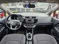 Kia Rio 1.2 CVVT 5p. Rosso - thumbnail 11