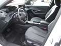 Peugeot 2008 Allure Hybrid 145 E-DSC6 Weiß - thumbnail 11