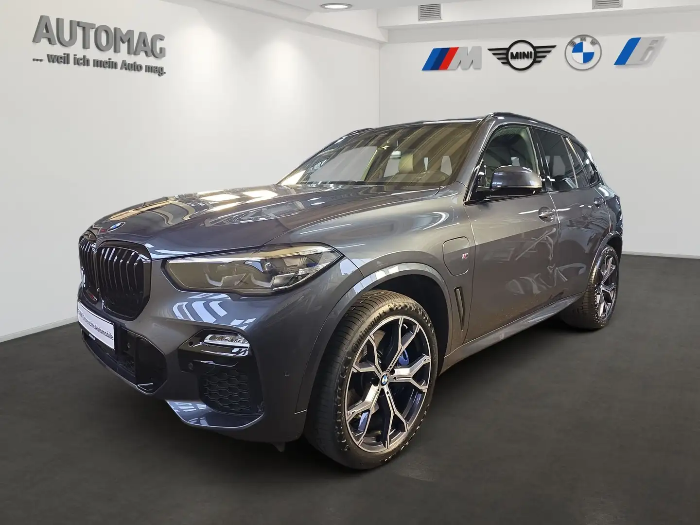 BMW X5 xDrive45e M-Sport*AHK*Panramadach*ParkAssistPlus*L Grau - 1