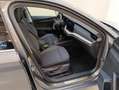 Skoda Octavia Selection TSI Grau - thumbnail 12
