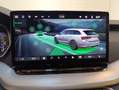Skoda Octavia Selection TSI Grau - thumbnail 21