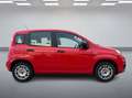 Fiat Panda Nur 9000 KM*1. Hand*Top Zustand - thumbnail 6