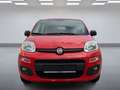 Fiat Panda Nur 9000 KM*1. Hand*Top Zustand - thumbnail 8
