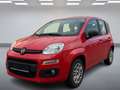 Fiat Panda Nur 9000 KM*1. Hand*Top Zustand - thumbnail 1
