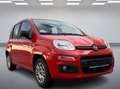 Fiat Panda Nur 9000 KM*1. Hand*Top Zustand - thumbnail 7