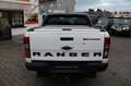 Ford Ranger Wildtrak 4x4 Doka *STHZ*Rollo* Weiß - thumbnail 6