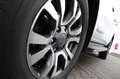 Ford Ranger Wildtrak 4x4 Doka *STHZ*Rollo* Weiß - thumbnail 22