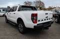 Ford Ranger Wildtrak 4x4 Doka *STHZ*Rollo* Weiß - thumbnail 8