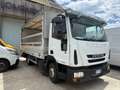 Iveco EUROCARGO/75E16/4.5/SPONDA/EURO 6/2014 Alb - thumbnail 3