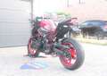 Kawasaki Z 900 Candy Persimmon Red / Ebony Rood - thumbnail 9